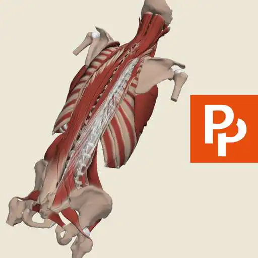 Free play online Spine: 3D RT - Sub APK