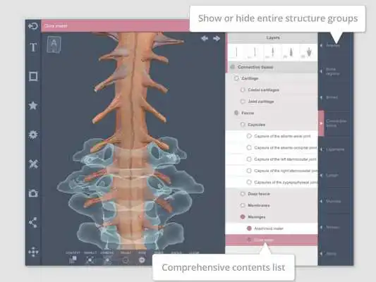 Play Spine: 3D RT - Sub