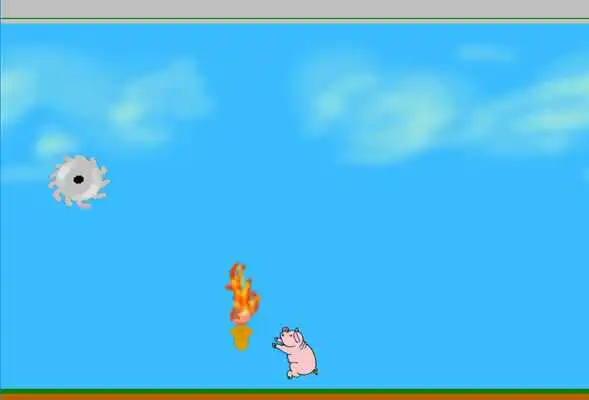 Play Spinny Pig