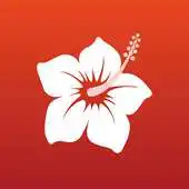 Free play online Spirit of Aloha APK Free play online Spirit of Aloha APK