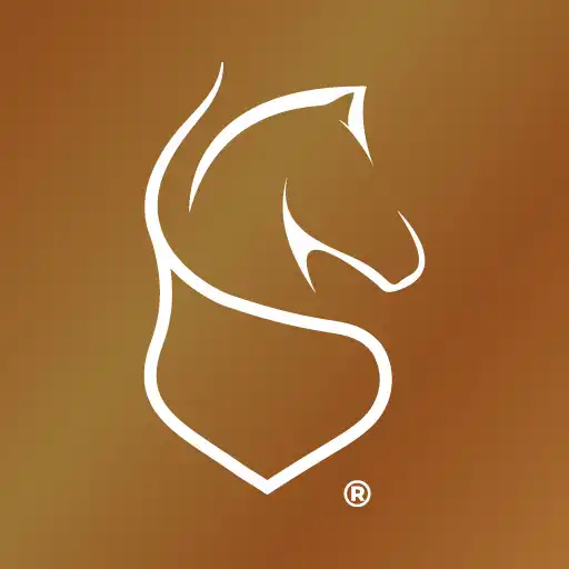 Play SpiritPremiumGym - OVG APK