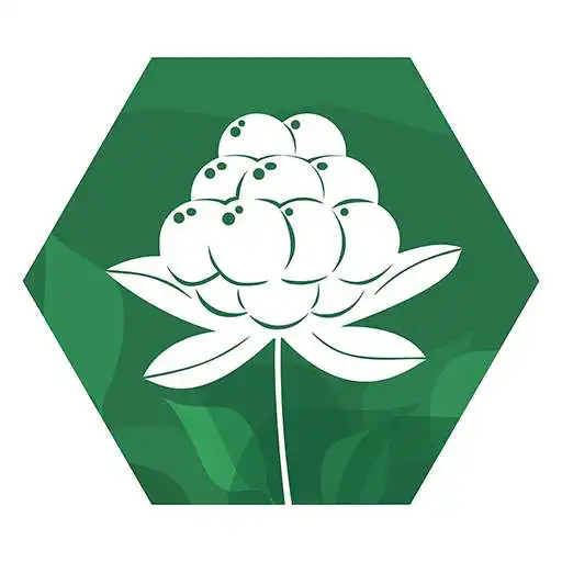 Play Spiselige vekster i naturen APK Play Spiselige vekster i naturen APK