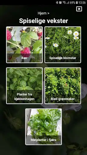 Play Spiselige vekster i naturen as an online game Spiselige vekster i naturen with UptoPlay