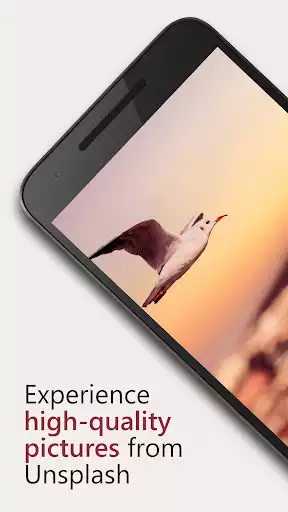 Play Splash! Wallpaper  and enjoy Splash! Wallpaper with UptoPlay