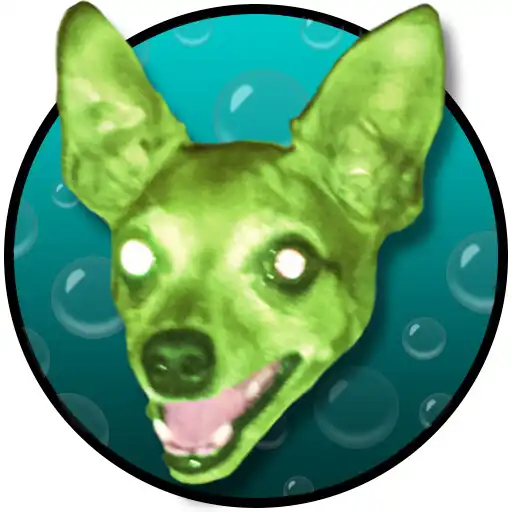Play Spoids (Drinking Game) APK