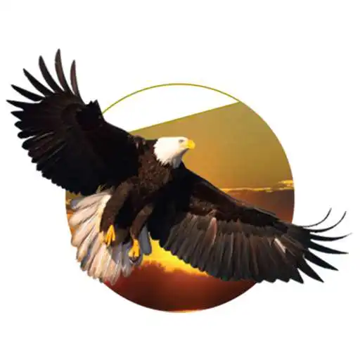 Play Spoken Word Stickers APK Play Spoken Word Stickers APK