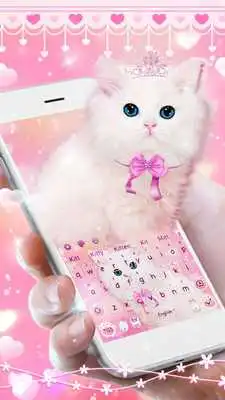 Play Spongy Lovely Cat Keyboard
