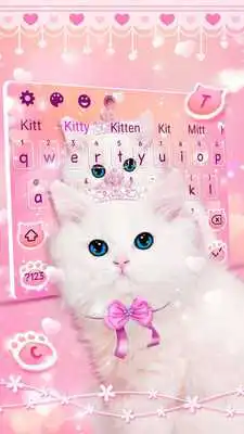 Play Spongy Lovely Cat Keyboard