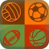 Free play online Sport Balls Live Wallpaper APK