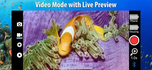 Play SportDiver as an online game SportDiver with UptoPlay