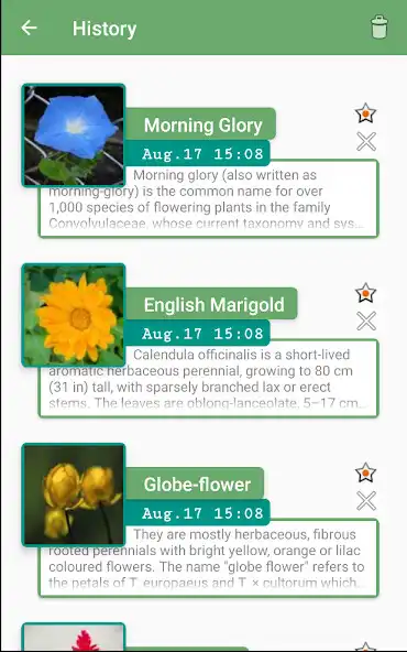 Play Spot-A-Flower as an online game Spot-A-Flower with UptoPlay