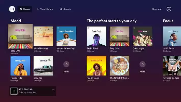 Play Spotify