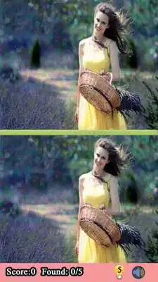 Play Spot the 5 Differences Answers
