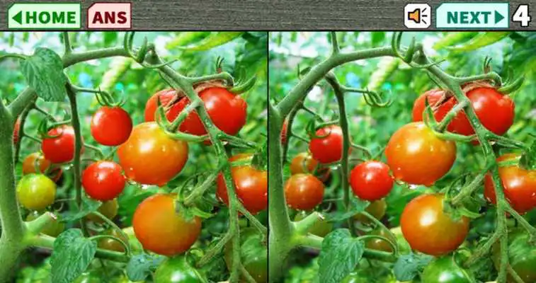Play Spot the Difference2019