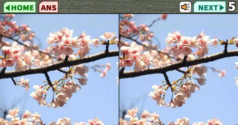 Play Spot the Difference2019