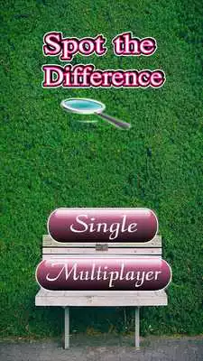 Play Spot the Difference Photo Game