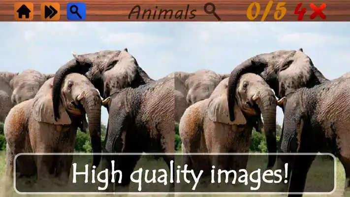 Play Spot The Differences: Animals! Play Spot The Differences: Animals!