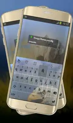 Play Spot the Eagle Keypad Layout