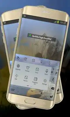 Play Spot the Eagle Keypad Layout