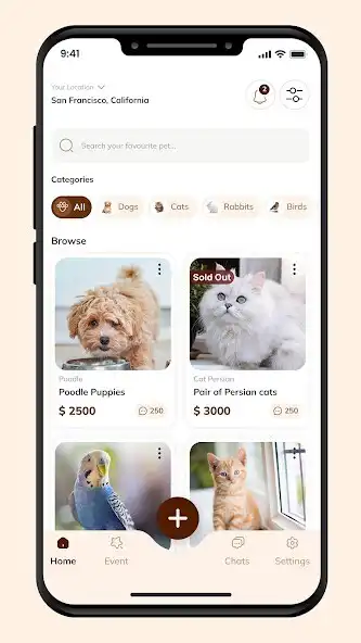 Play Spot your next pets  and enjoy Spot your next pets with UptoPlay