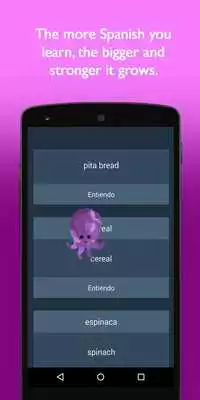 Play Spractico Learn While you Play