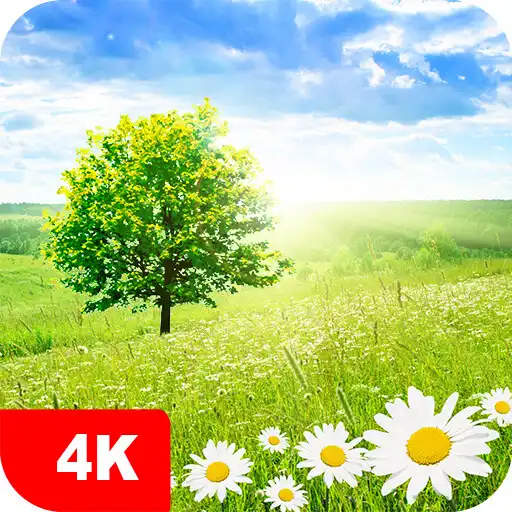 Play Spring Backgrounds 2022 APK