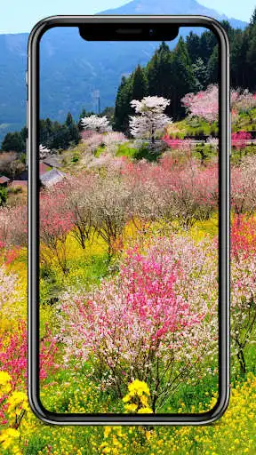 Play Spring Background  and enjoy Spring Background with UptoPlay