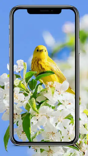 Play Spring Background as an online game Spring Background with UptoPlay