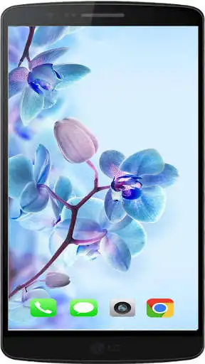 Play Spring Best HD Walpaper  and enjoy Spring Best HD Walpaper with UptoPlay