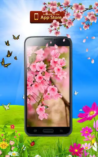 Play Spring Bloom Wallpapers