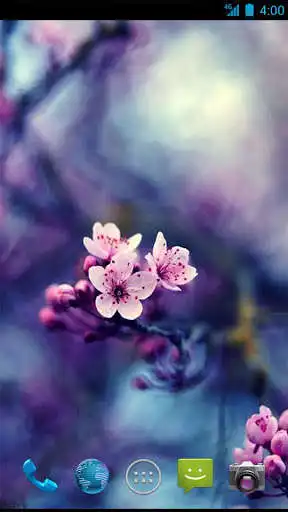 Play Spring Bloom Wallpapers