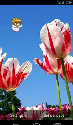 Play Spring Fairy Live Wallpaper Play Spring Fairy Live Wallpaper
