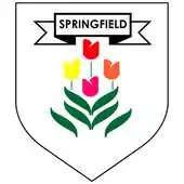 Free play online Springfield School Jersey APK