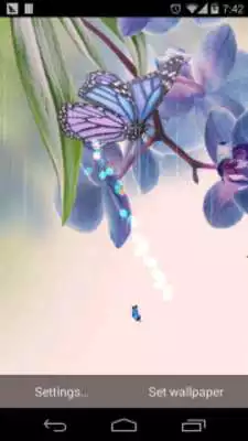 Play spring flower lwp Free Play spring flower lwp Free