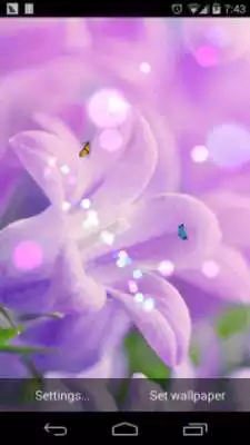 Play spring flower lwp Free Play spring flower lwp Free