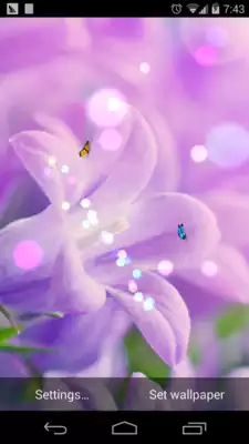 Play spring flower lwp Free Play spring flower lwp Free