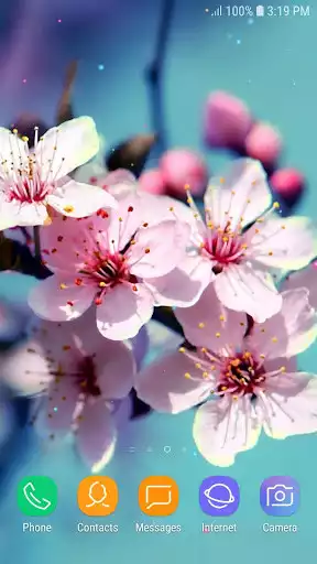 Play Spring Flowers live wallpaper