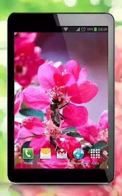 Play Spring Flowers live wallpaper