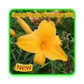 Free play online Spring Flowers Wallpaper 2015 APK