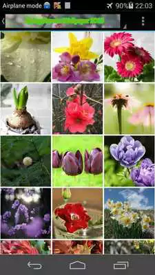 Play Spring Flowers Wallpaper 2015