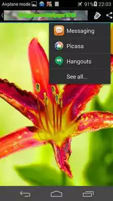 Play Spring Flowers Wallpaper 2015