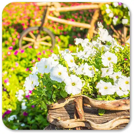 Play Spring Flowers Wallpaper for chat APK