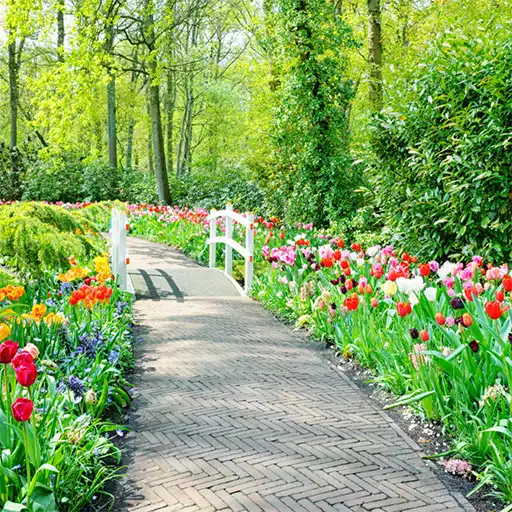 Play spring garden wallpaper APK Play spring garden wallpaper APK