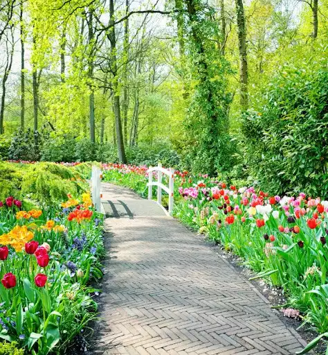 Play spring garden wallpaper  and enjoy spring garden wallpaper with UptoPlay