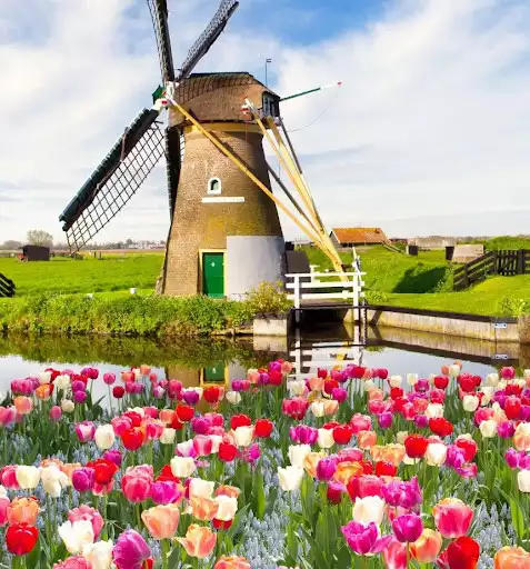 Play spring garden wallpaper as an online game spring garden wallpaper with UptoPlay