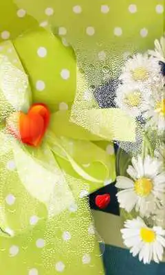 Play Spring Gifts Play Spring Gifts