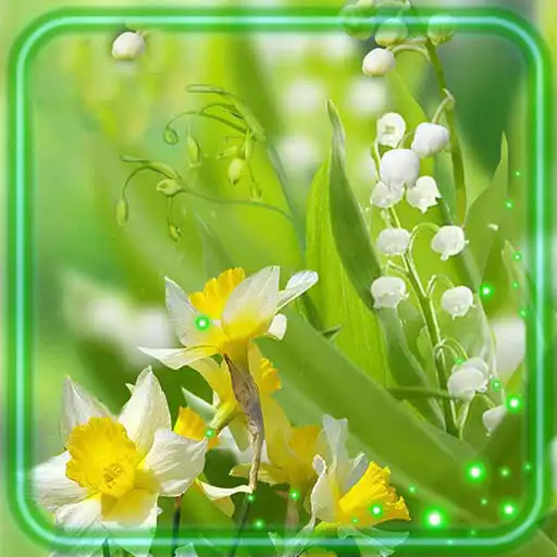 Free play online Spring HD Live Wallpaper APK