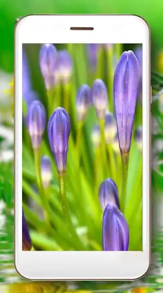 Play Spring HD Live Wallpaper