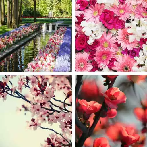 Play Spring HD Wallpapers APK Play Spring HD Wallpapers APK