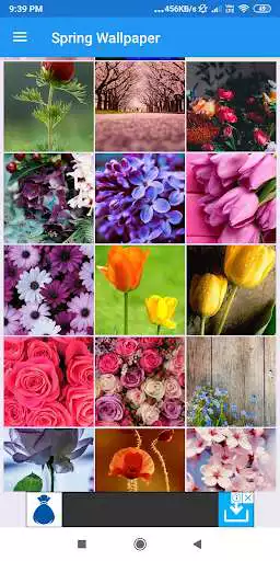 Play Spring HD Wallpapers  and enjoy Spring HD Wallpapers with UptoPlay